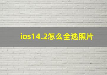 ios14.2怎么全选照片