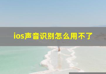 ios声音识别怎么用不了