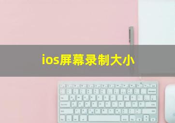 ios屏幕录制大小