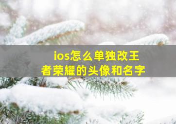 ios怎么单独改王者荣耀的头像和名字