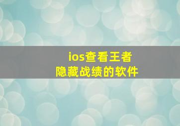 ios查看王者隐藏战绩的软件