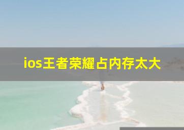 ios王者荣耀占内存太大