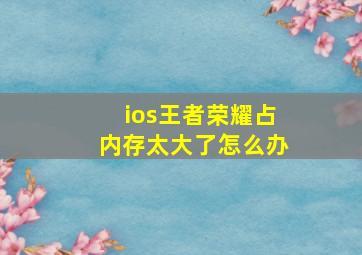 ios王者荣耀占内存太大了怎么办