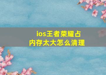 ios王者荣耀占内存太大怎么清理