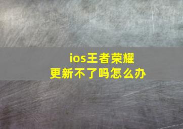 ios王者荣耀更新不了吗怎么办