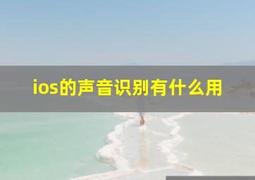 ios的声音识别有什么用