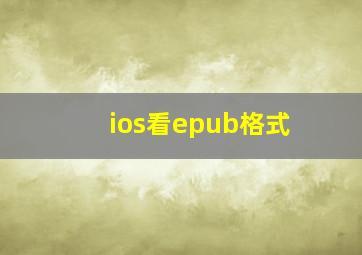 ios看epub格式