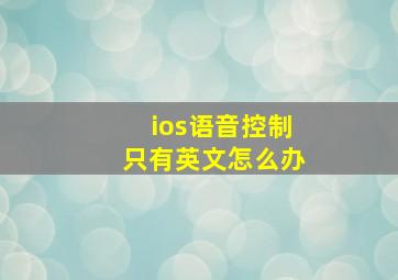 ios语音控制只有英文怎么办