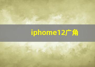 iphome12广角