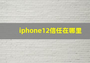 iphone12信任在哪里