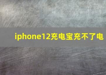 iphone12充电宝充不了电