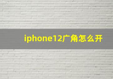 iphone12广角怎么开