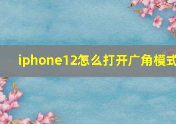 iphone12怎么打开广角模式