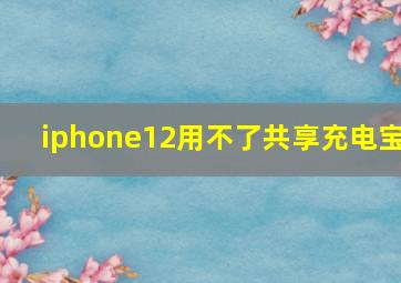 iphone12用不了共享充电宝