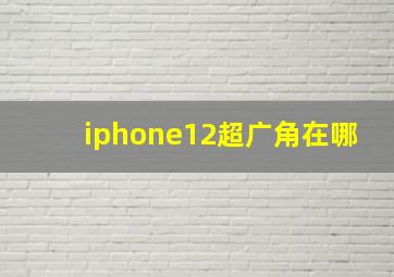 iphone12超广角在哪