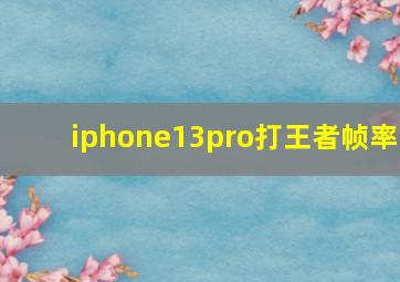 iphone13pro打王者帧率