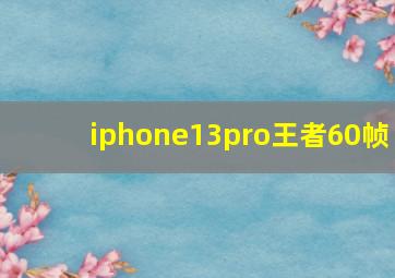 iphone13pro王者60帧