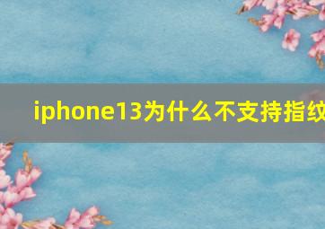 iphone13为什么不支持指纹