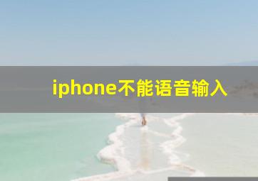 iphone不能语音输入