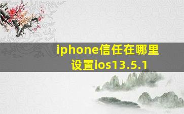 iphone信任在哪里设置ios13.5.1