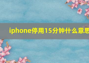 iphone停用15分钟什么意思