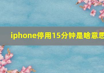 iphone停用15分钟是啥意思