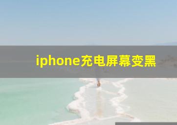 iphone充电屏幕变黑