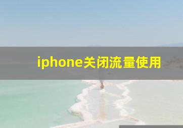 iphone关闭流量使用