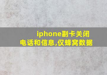 iphone副卡关闭电话和信息,仅蜂窝数据