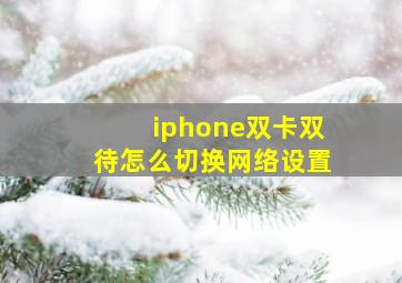 iphone双卡双待怎么切换网络设置