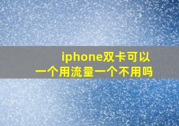 iphone双卡可以一个用流量一个不用吗