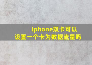 iphone双卡可以设置一个卡为数据流量吗