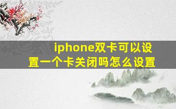 iphone双卡可以设置一个卡关闭吗怎么设置