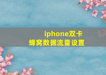 iphone双卡蜂窝数据流量设置