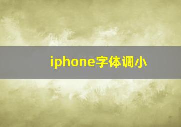 iphone字体调小