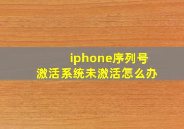 iphone序列号激活系统未激活怎么办