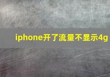 iphone开了流量不显示4g