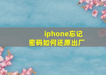 iphone忘记密码如何还原出厂