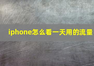 iphone怎么看一天用的流量