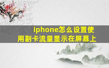 iphone怎么设置使用副卡流量显示在屏幕上