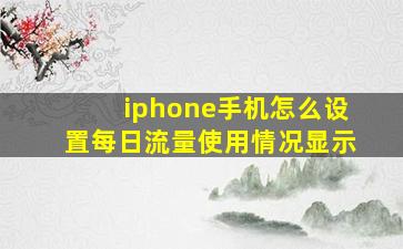 iphone手机怎么设置每日流量使用情况显示