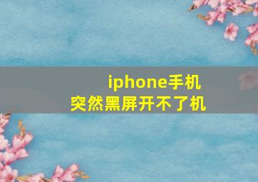 iphone手机突然黑屏开不了机