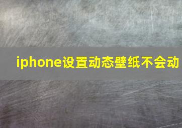 iphone设置动态壁纸不会动