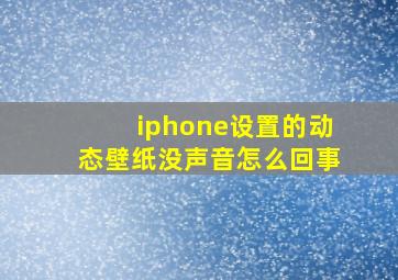 iphone设置的动态壁纸没声音怎么回事