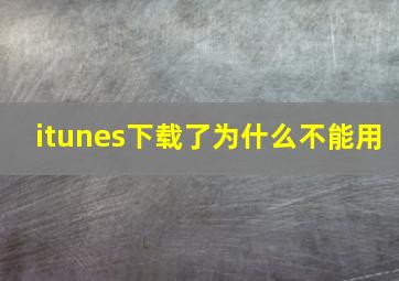 itunes下载了为什么不能用