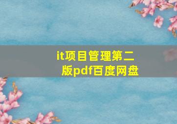 it项目管理第二版pdf百度网盘