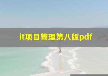 it项目管理第八版pdf