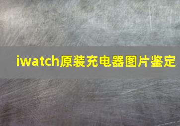 iwatch原装充电器图片鉴定