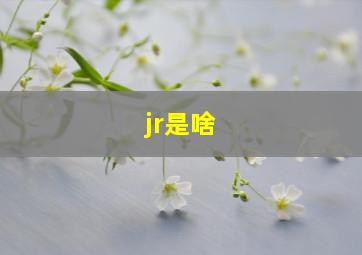 jr是啥