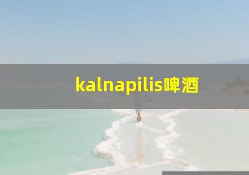 kalnapilis啤酒